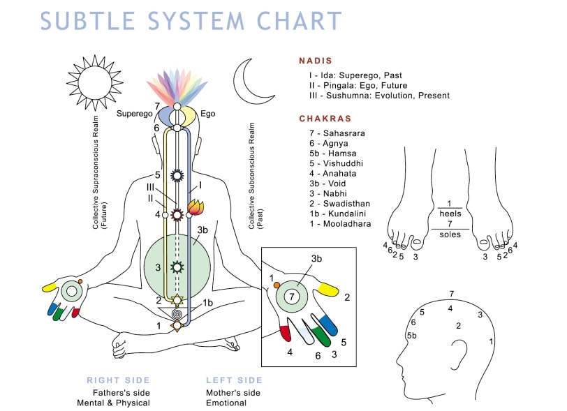 chart with main chakras and projections on hands, feet and head